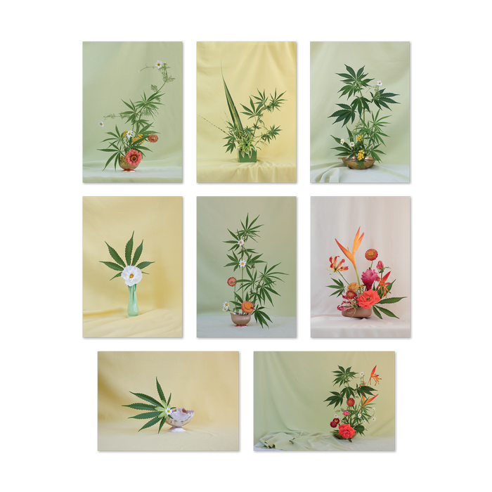Weed Ikebana Postcard Print Set