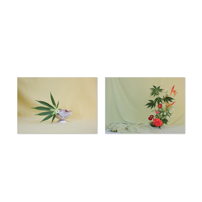 Weed Ikebana Postcard Print Set