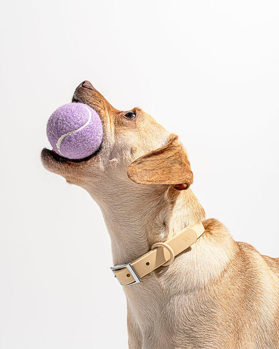 Wild One Tennis Balls in Lilac