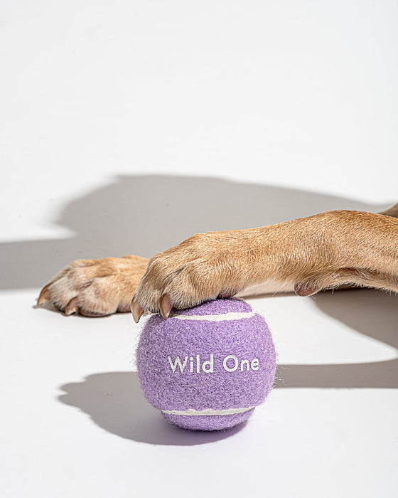 Wild One Tennis Balls in Lilac