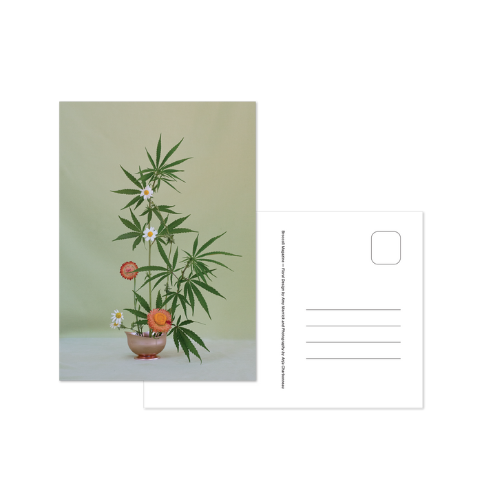 Weed Ikebana Postcard Print Set